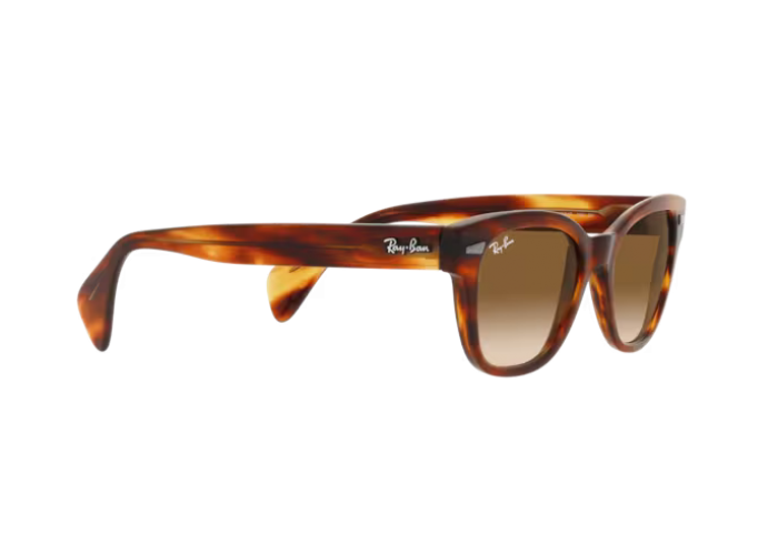 RAY BAN  RB0880S/954/51 52